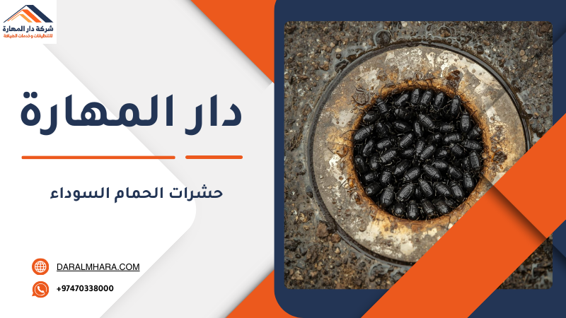 أسباب ظهور حشرات الحمام السوداء في المنزل