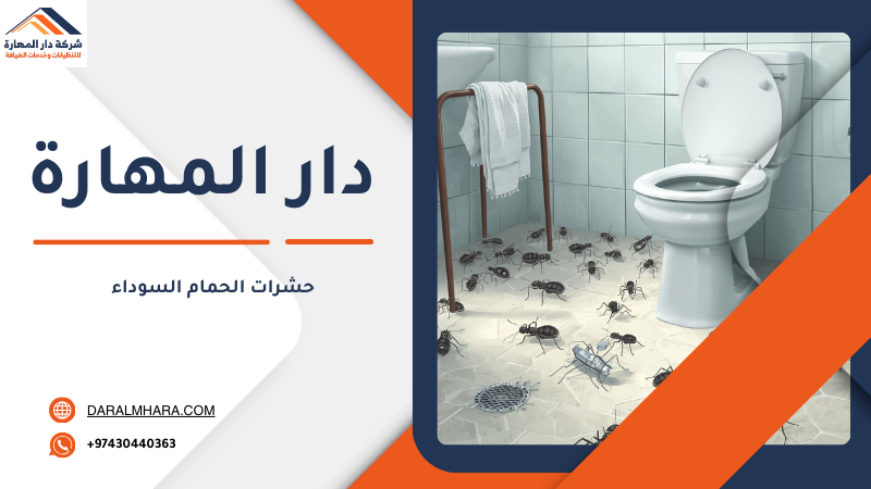 حشرات الحمام السوداء داخل الحمام وطرق التخلص منها