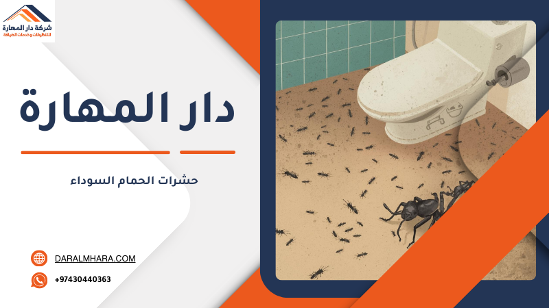 مكافحة حشرات الحمام السوداء في قطر