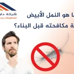 النمل الأبيض مكافحته قبل البناء