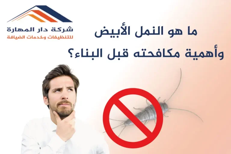 النمل الأبيض مكافحته قبل البناء