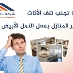 كيفية التخلص من النمل الأبيض