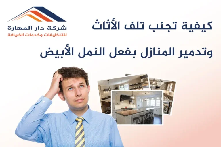 كيفية التخلص من النمل الأبيض