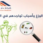 الحشرات والقوارض خطرًا كبيرًا على صحة الإنسان والحيوانات