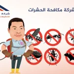 أفضل شركة مكافحة الحشرات