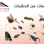 معلومات عن الحشرات