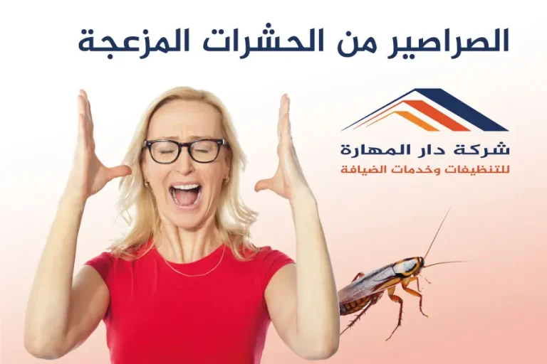 الصراصير من الحشرات المزعجة
