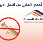 كيف أحمي المنزل من النمل الابيض؟