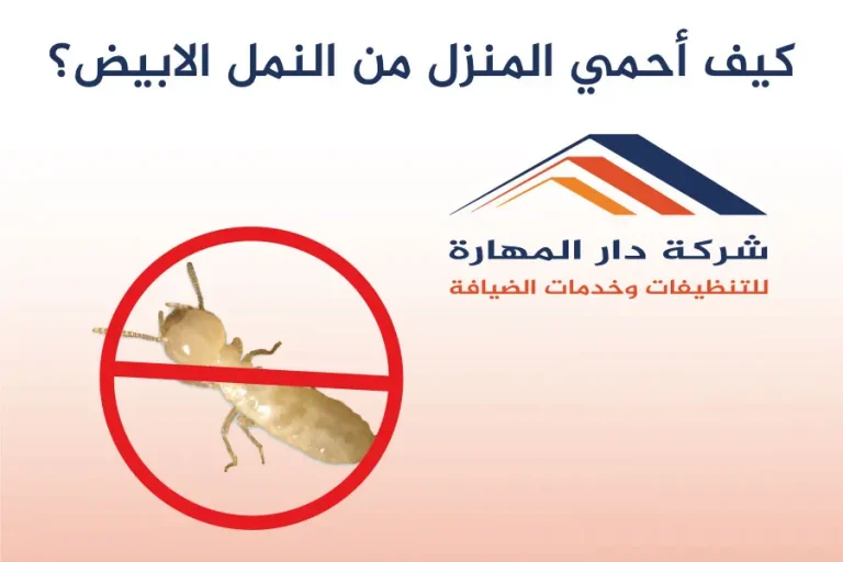 كيف أحمي المنزل من النمل الابيض؟