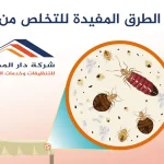 بعض الطرق المفيدة للتخلص من البق