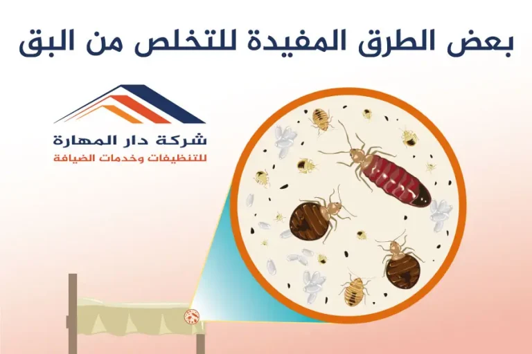 بعض الطرق المفيدة للتخلص من البق