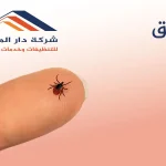 البق