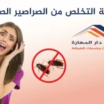 كيف التخلص من الصراصير الصغيرة