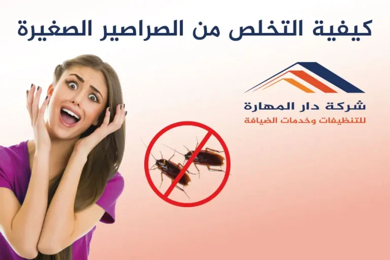 كيف التخلص من الصراصير الصغيرة