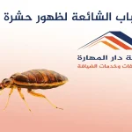الأسباب الشائعة لظهور حشرة البق