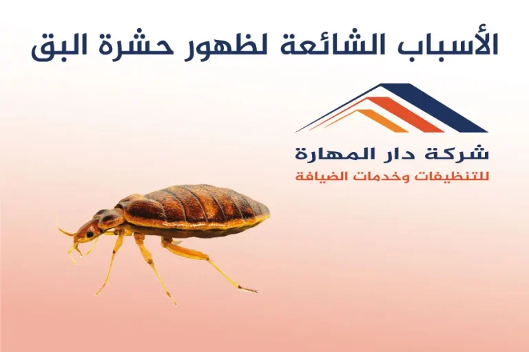 الأسباب الشائعة لظهور حشرة البق