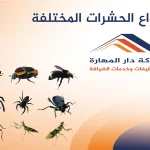 انواع الحشرات المختلفة