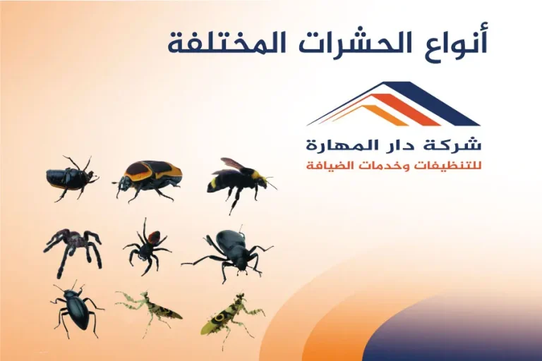 انواع الحشرات المختلفة