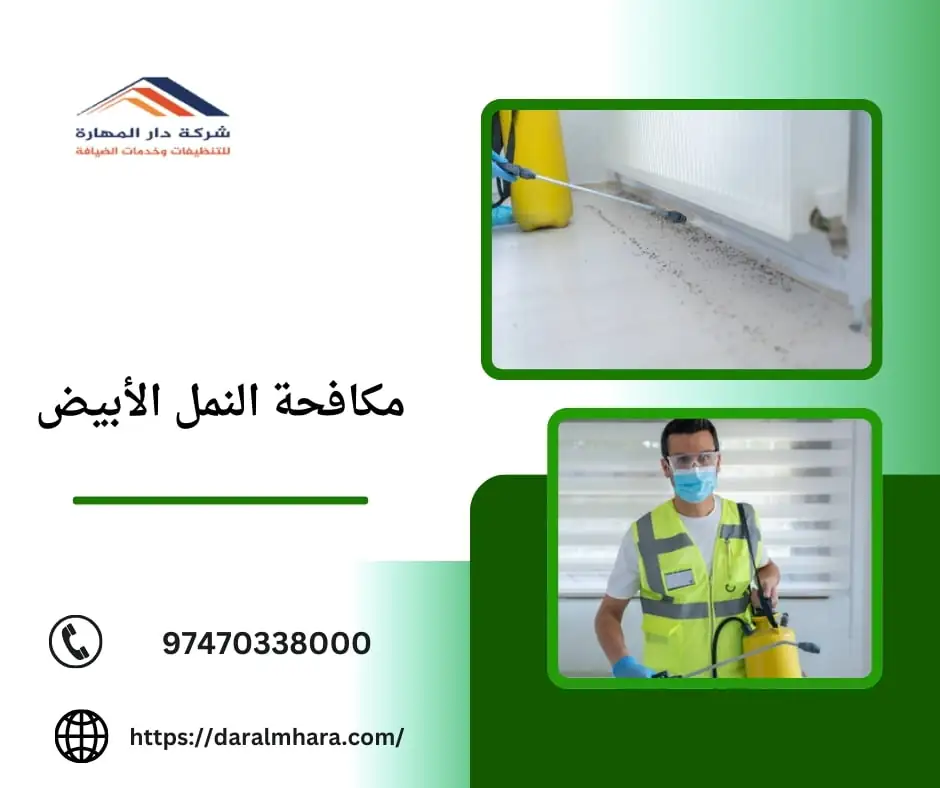 فحص علامات النمل الأبيض داخل المنزل في قطر