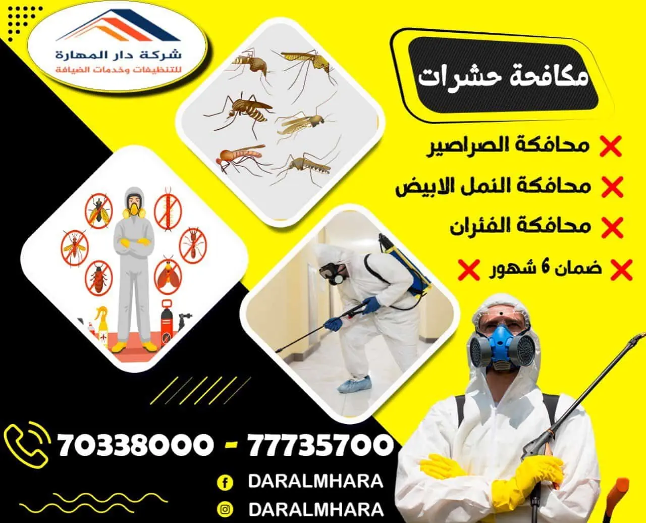صورة مقال: مكافحة الحشرات في قطر - شركة دار المهارة