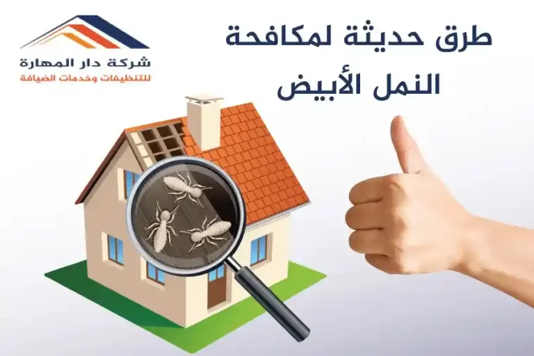 مكافحة النمل الابيض والحشرات