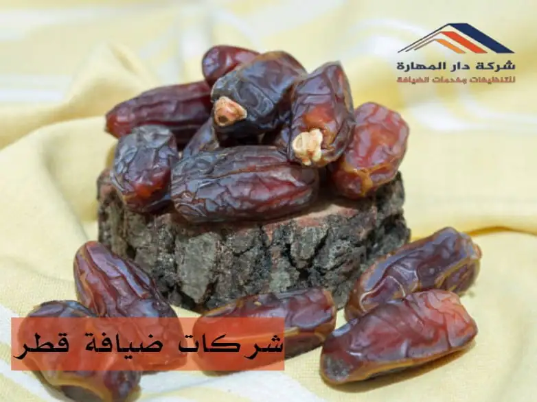 عاملات ضيافة قطر
