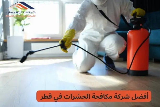 أفضل شركة مكافحة الحشرات في قطر