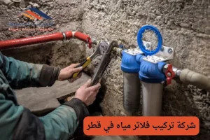 ما أهم المواد الضارة التي يتخلص منها الفلتر؟