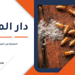 الحماية من النمل الأبيض