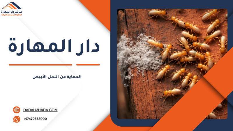 معالجة التربة ضد النمل الأبيض قبل البناء في قطر