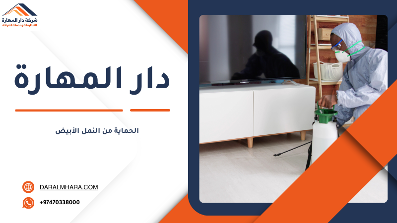 فريق دار المهارة لمكافحة النمل الأبيض قبل البناء