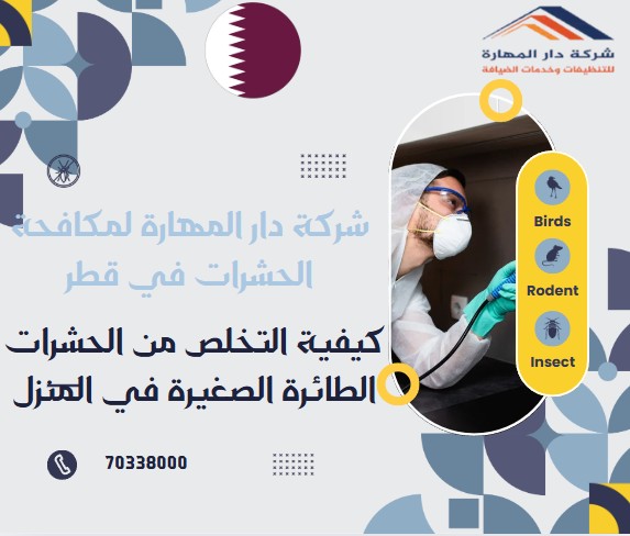 كيفية التخلص من الحشرات الطائرة الصغيرة في المنزل