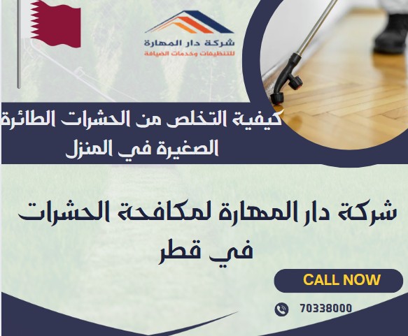 كيفية التخلص من الحشرات الطائرة الصغيرة في المنزل