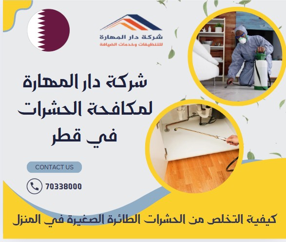 كيفية التخلص من الحشرات الطائرة الصغيرة في المنزل