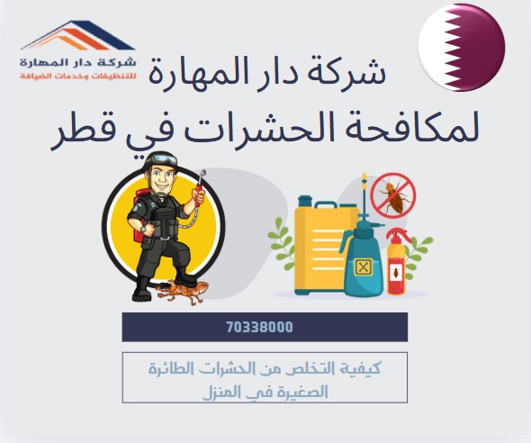 كيفية التخلص من الحشرات الطائرة الصغيرة في المنزل