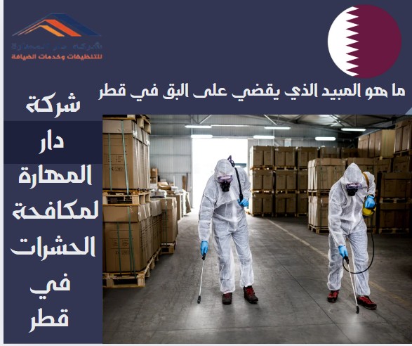 ما هو المبيد الذي يقضي على البق في قطر؟