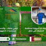 افضل طريقة للتخلص من الحشرات في المنزل