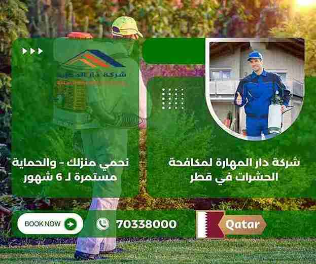 صورة مقال: افضل طريقة للتخلص من الحشرات في المنزل - شركة دار المهارة