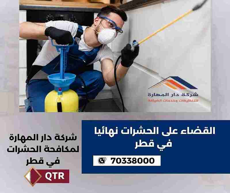 القضاء على حشرة البق نهائيا