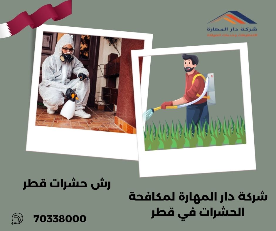 شركة رش حشرات قطر