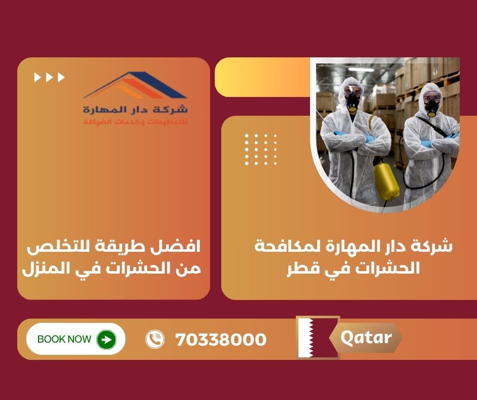 الحشرات في المنزل