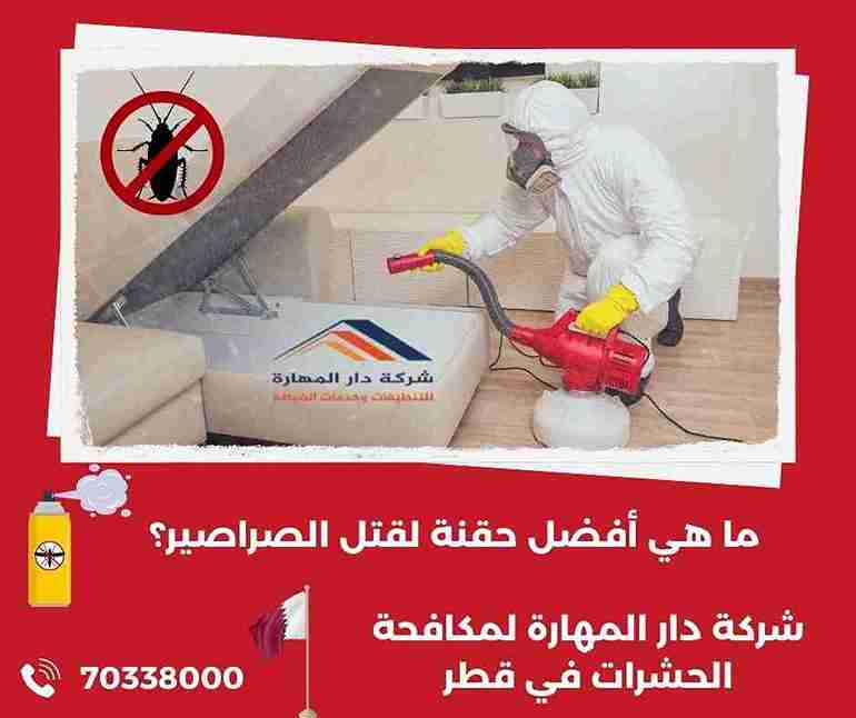 ما هي أفضل طريقة للتخلص من الصراصير الأمريكية؟