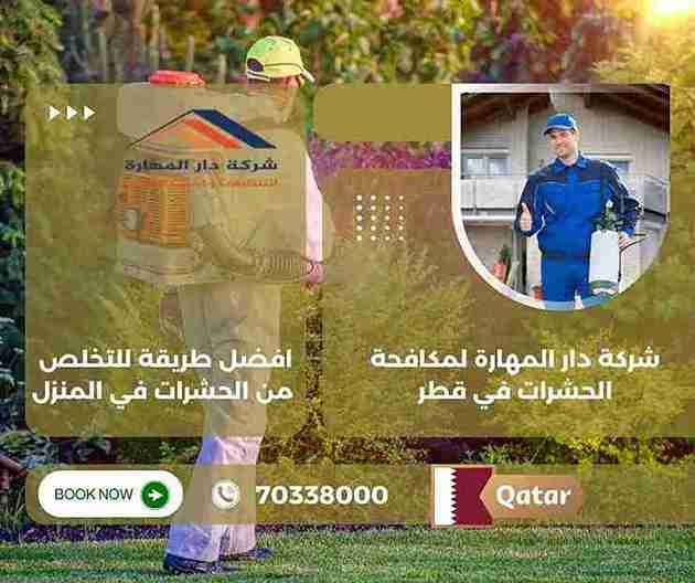 افضل طريقة للتخلص من الحشرات في المنزل