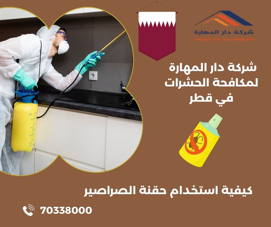 ابرة الصراصير الألمانية