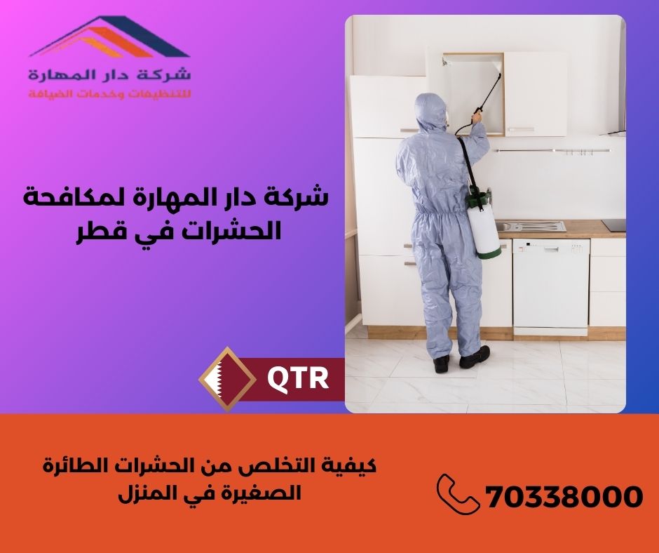 كيفية التخلص من الحشرات الطائرة الصغيرة في المنزل