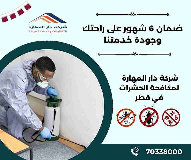 صورة مقال: شركة مكافحة حشرات قطر | ضمان 6 شهور - شركة دار المهارة