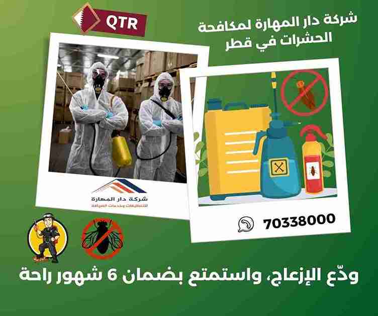 رش حشرات قطر | مكافحة مضمونة بأسعار تبدأ من 250 ريال