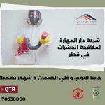 ما هي أفضل حقنة لقتل الصراصير؟