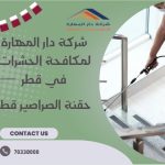 حقنة الصراصير قطر