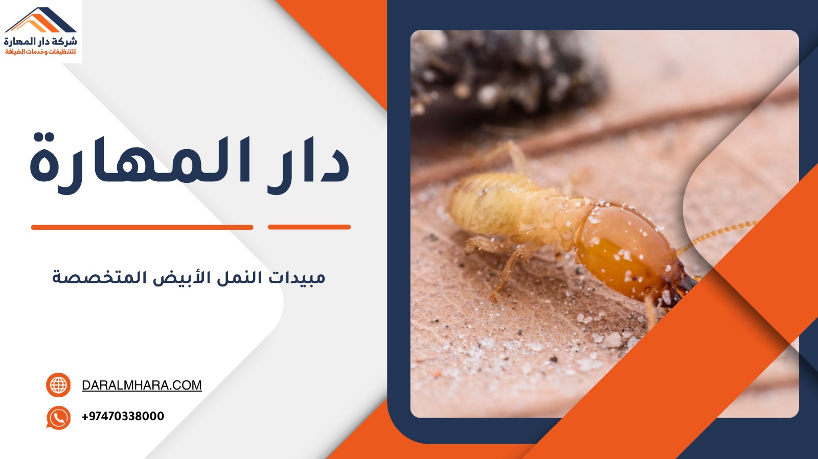 مبيدات النمل الأبيض المتخصصة